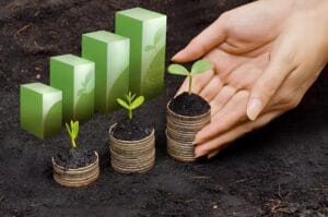 dau tu xanh tai viet nam